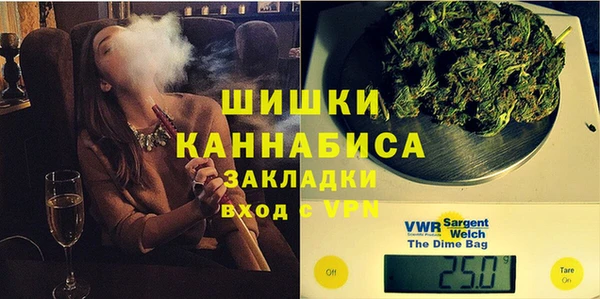 гидра Михайловка